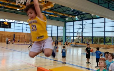 Baskethon